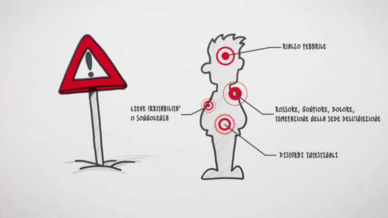 MENINGOCOCCO E PNEUMOCOCCO: COME SCONFIGGERLI CON IL VACCINO