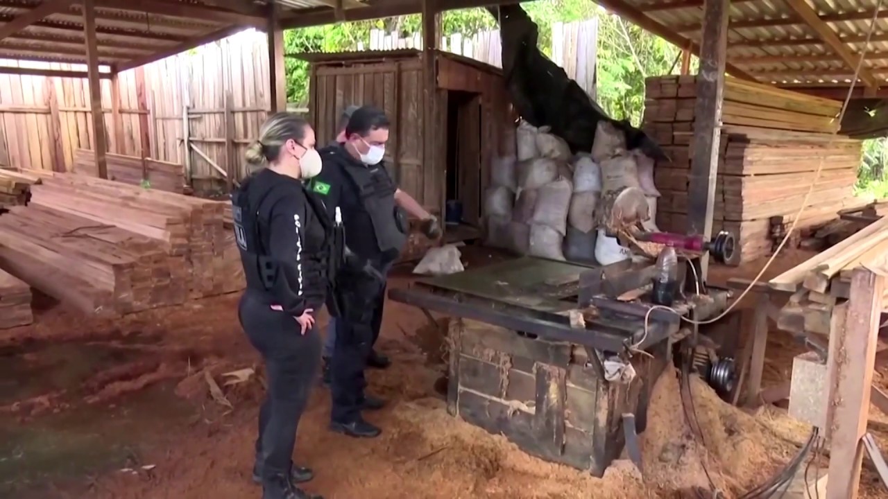 Brazil arrests dozens in Amazon logging ring