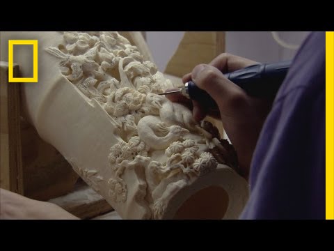 Episode 1: The Plight of the Elephant | Battle for the Elephants