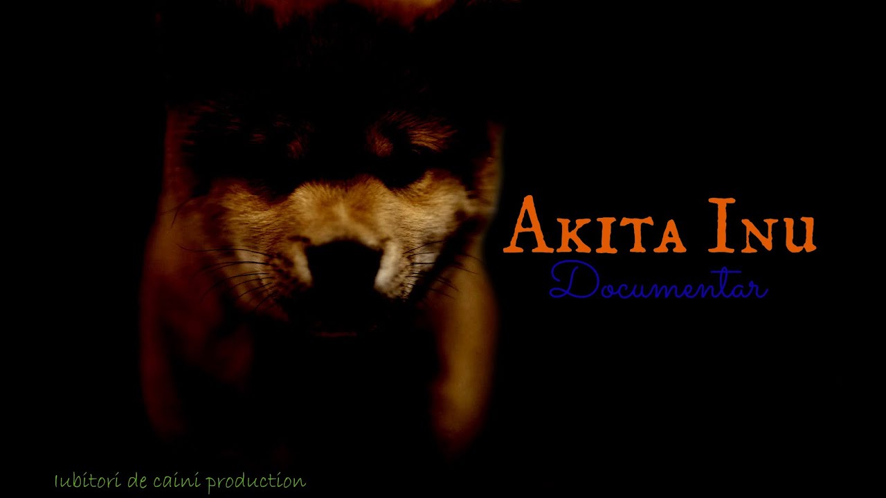 Akita Inu Documentar (Romana) - Iubitori de caini Production