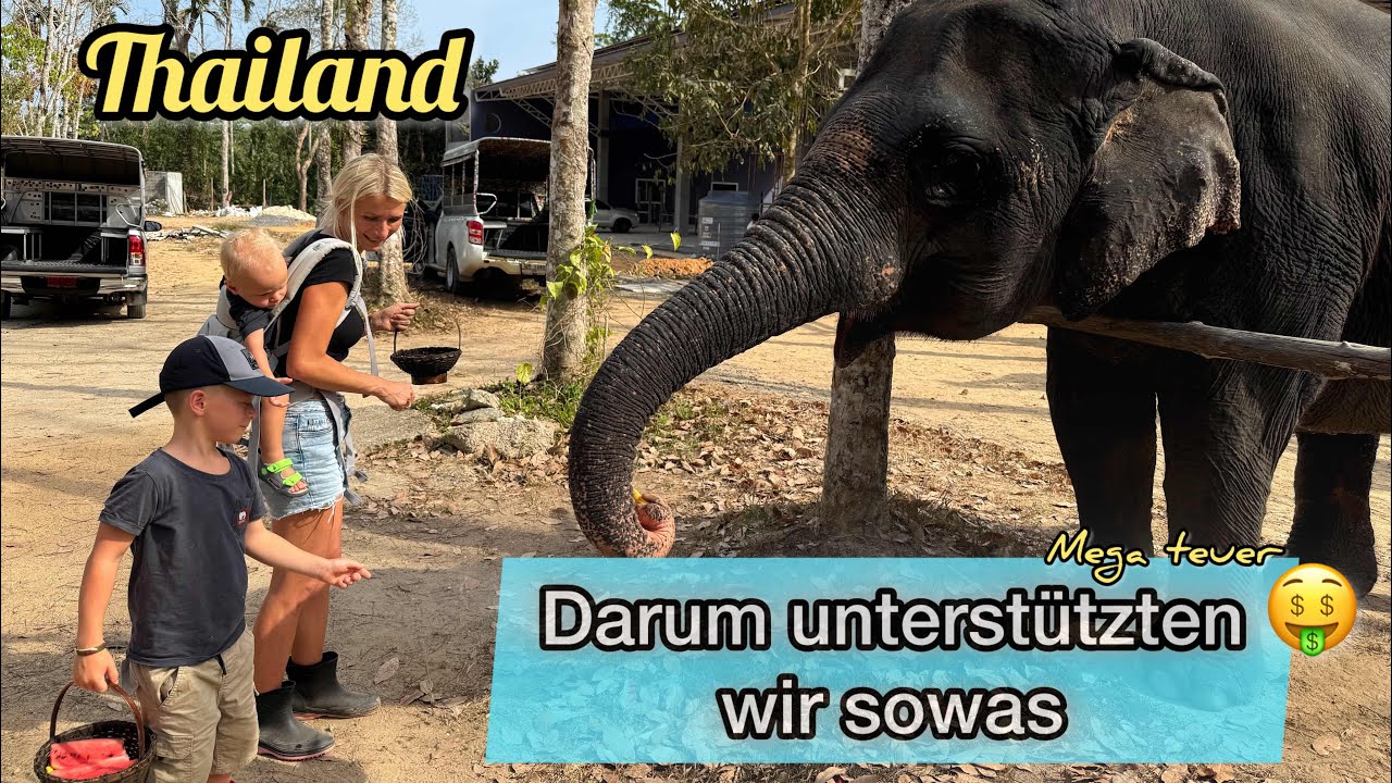 Ein Traum wird wahr | Erster ethischer Elephant Sanctuary Phuket | Thailand 🇹🇭 #14