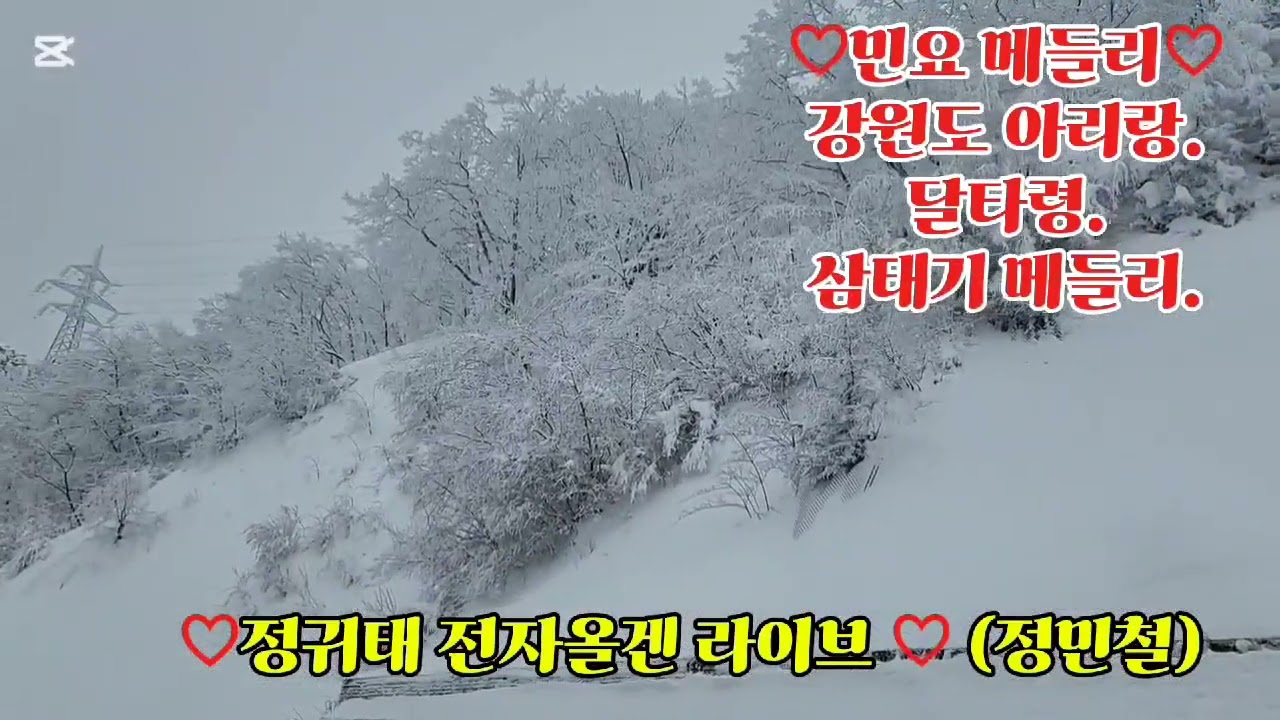 정귀태 (정민철) 전자올겐 연주 라이브
