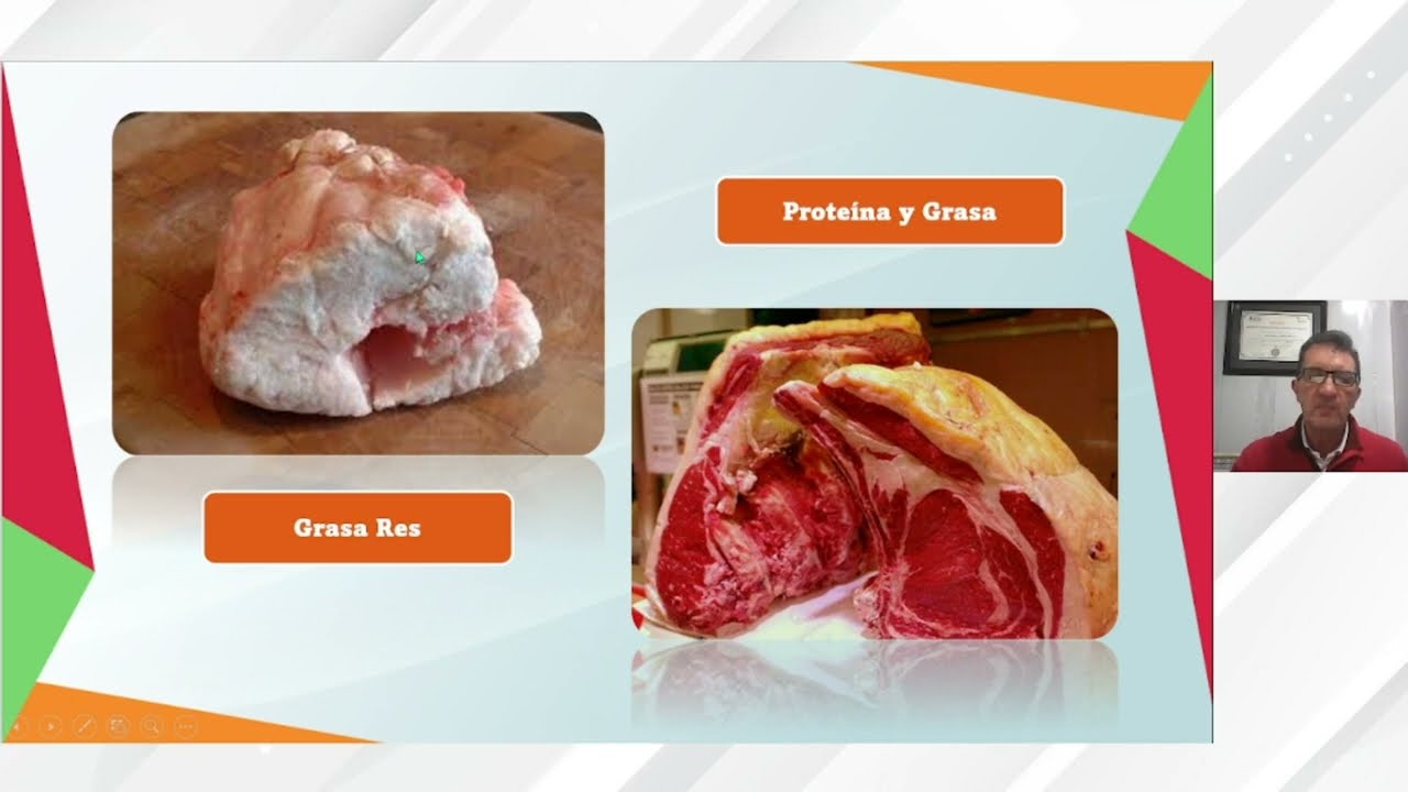 MÓDULO 12: LAS GRASAS DE ORIGEN ANIMAL SON SALUDABLES PARA EL ORGANISMO