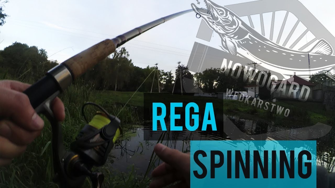 Rega - Spinning - Wędkarstwo Nowogard