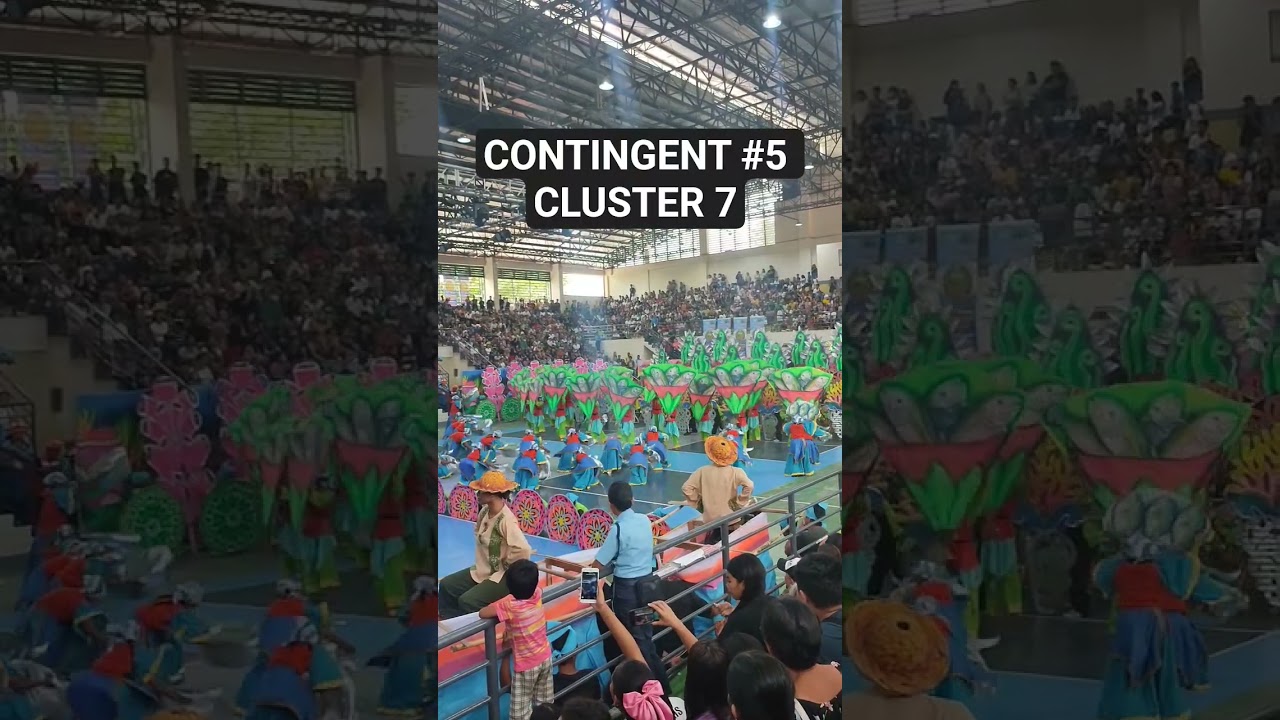 CONTINGENT #5 CLUSTER 7 SHOWDOWN #festivalcelebration2025