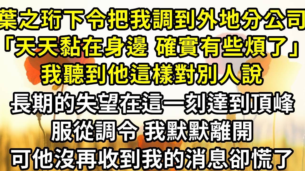 葉之珩下令把我調到外地分公司，「天天黏在身邊，確實有些煩了」我聽到他這樣對別人說，長期的失望在這一刻達到頂峰，服從調令，我默默離開，可他沒再收到我的消息卻慌了