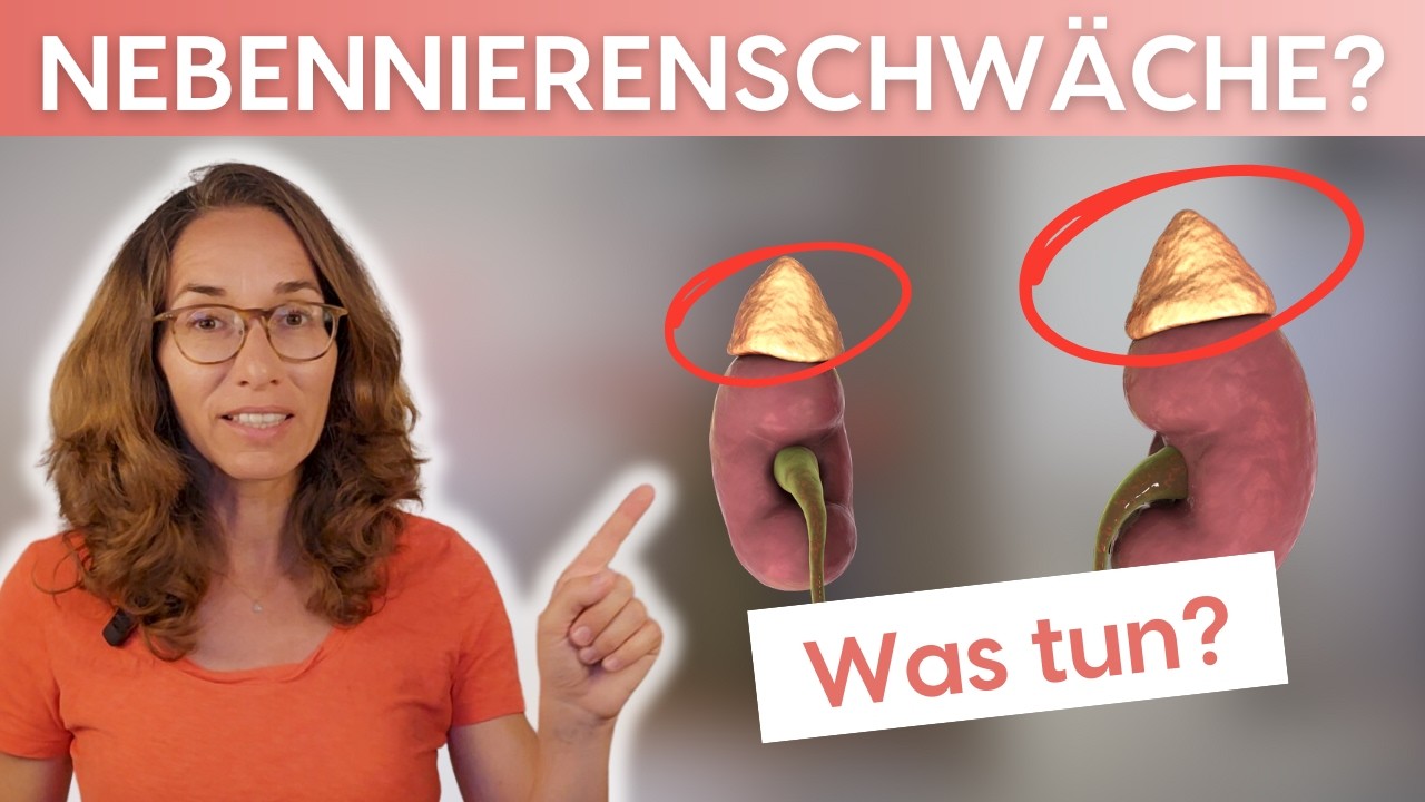 HPU und Nebennierenschwäche - Was tun?