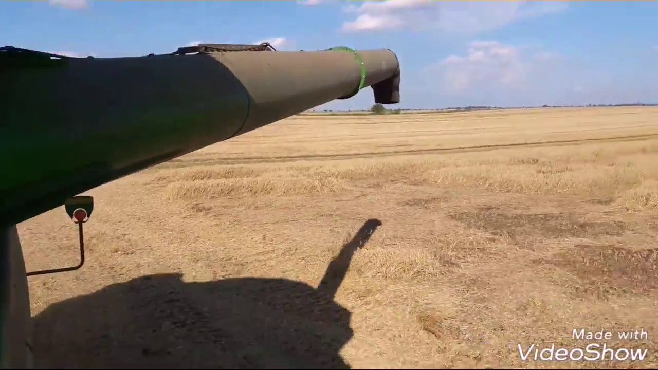 Жатва 2017/ Harvest 2017, Уборка озимой пшеницы