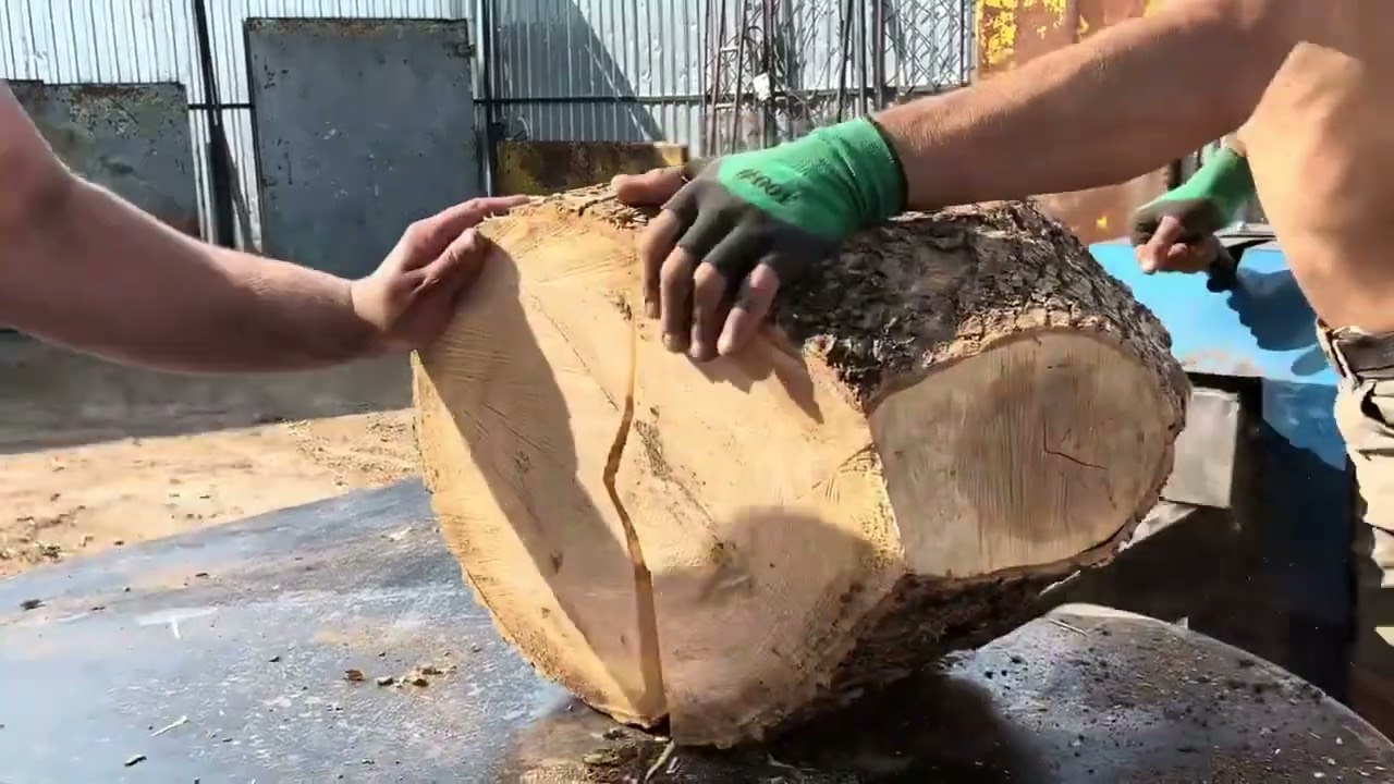 Giant Logs Cracking Under Pressure