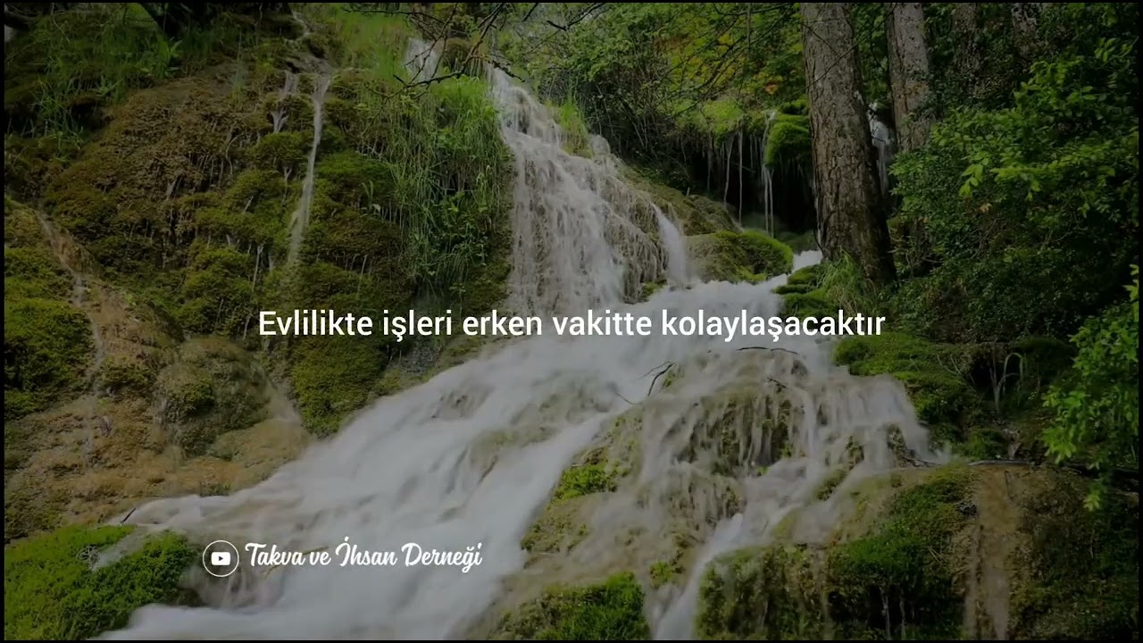 Evlenmiyor musun? Şeyh Abdurrezzak El-Bedr hafizahullah