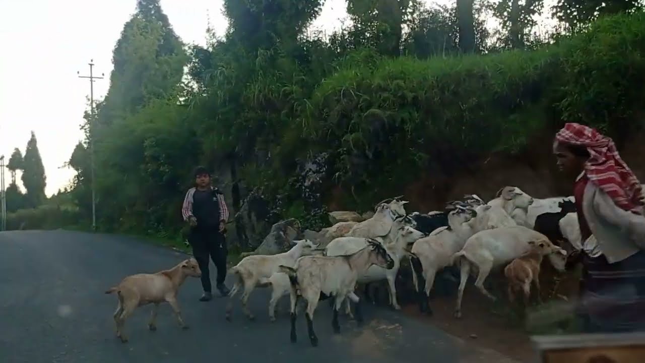 Meghalaya Scenic Landscapes|Na Upper Shillong Sha Rapleng | Passing through  Green Landscapes