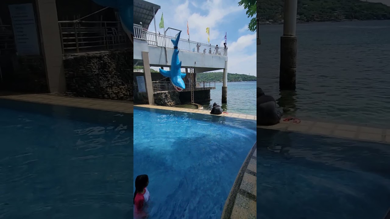Isola Vista Beach Resort Batangas #travel #vacation #travelfood #food #beach