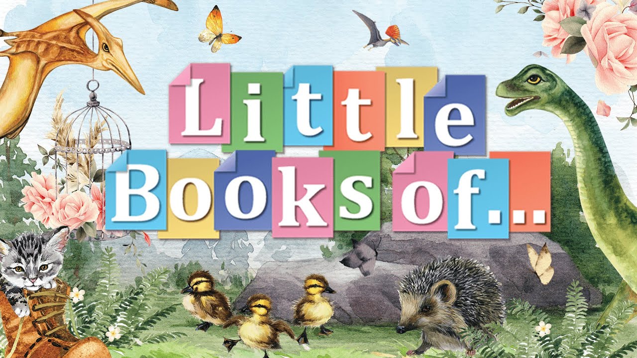 Live Launch - Little Books!