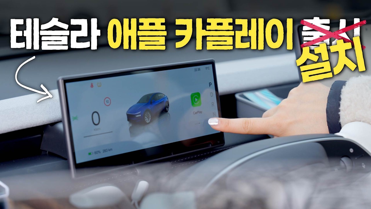모델Y 타면서 하나씩 늘어난, 그런데 다 이유 있는 아이템들 (알리익스프레스 16주년 그랜드 세일)