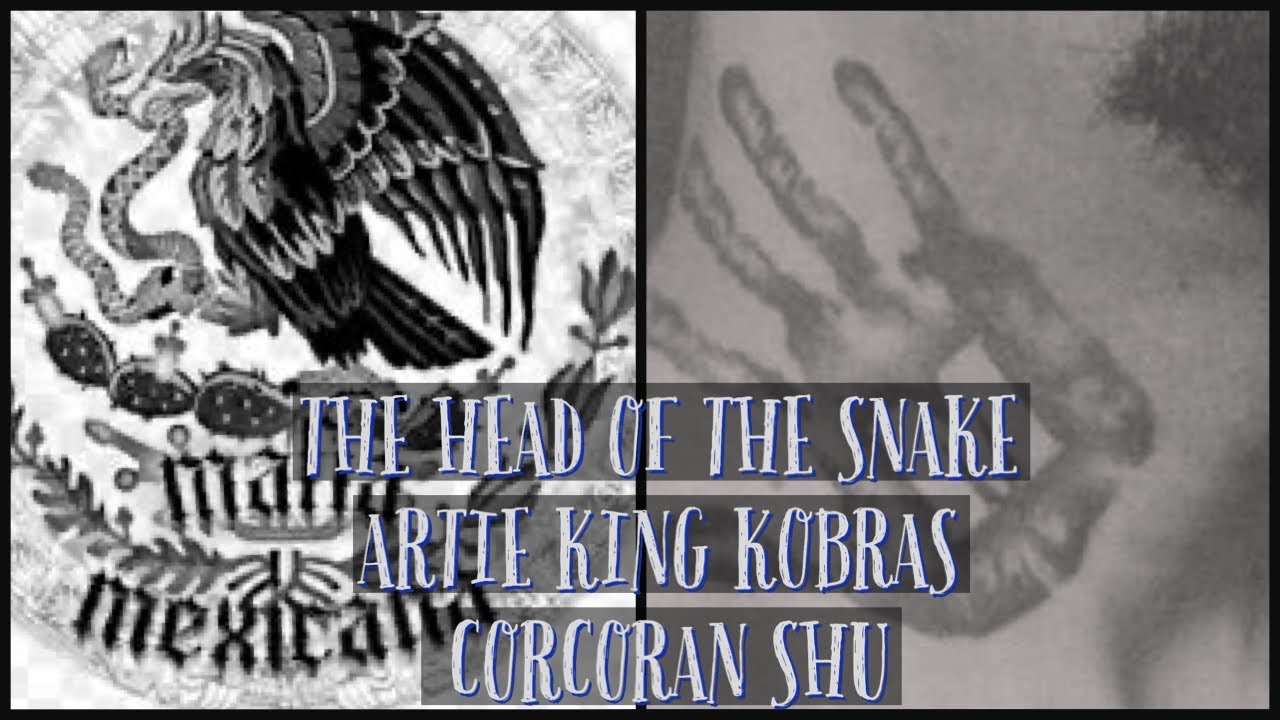 САМЫЙ НЕНАВИДИМЫЙ УЧАСТНИК EME...АРТИ КИНГ КОБРАС... И ПОЧЕМУ ЕГО НЕ ЛЮБИЛИ ТОВАРИЩИ #новый #трен...