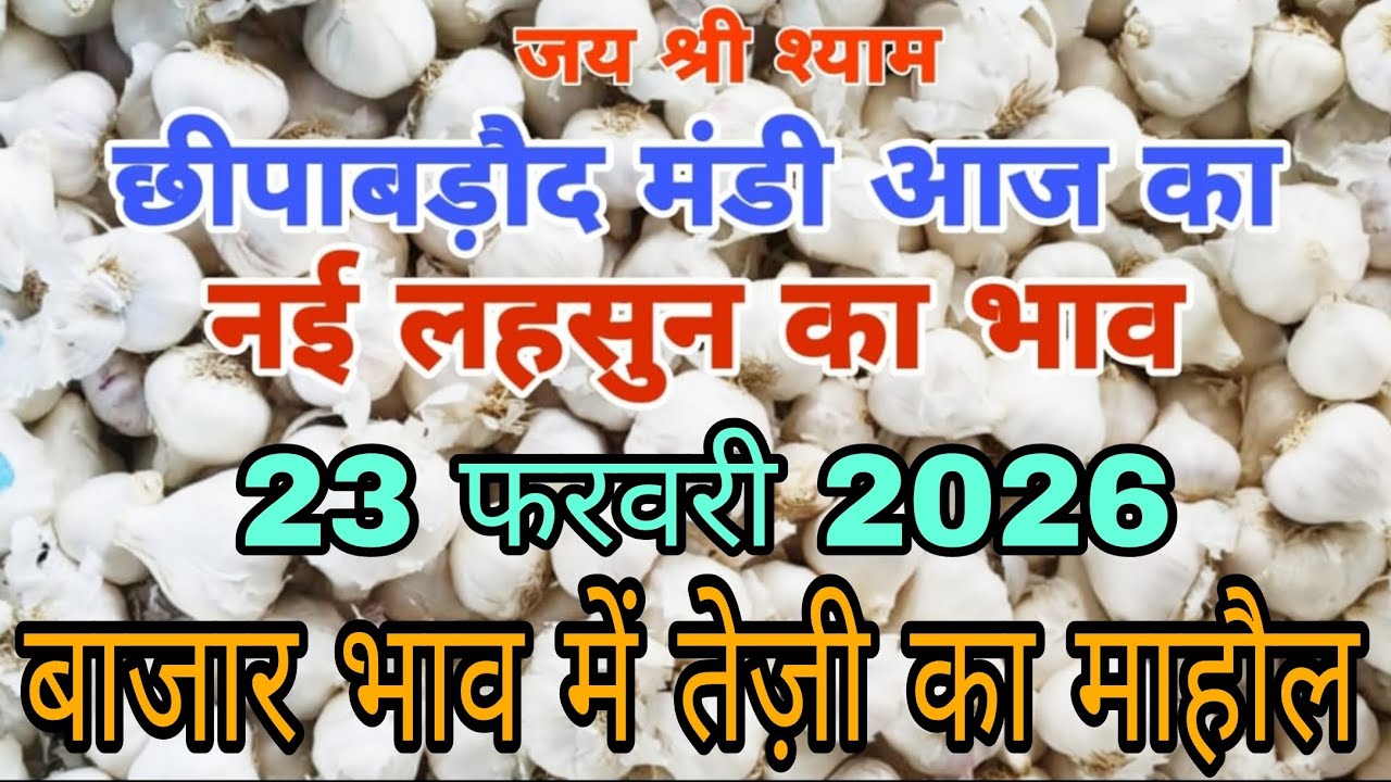 23 फरवरी 2026 garlic rate today bhav Chhipabrod rajsthan lashun mandi #foodfarm #agriculture #garlic