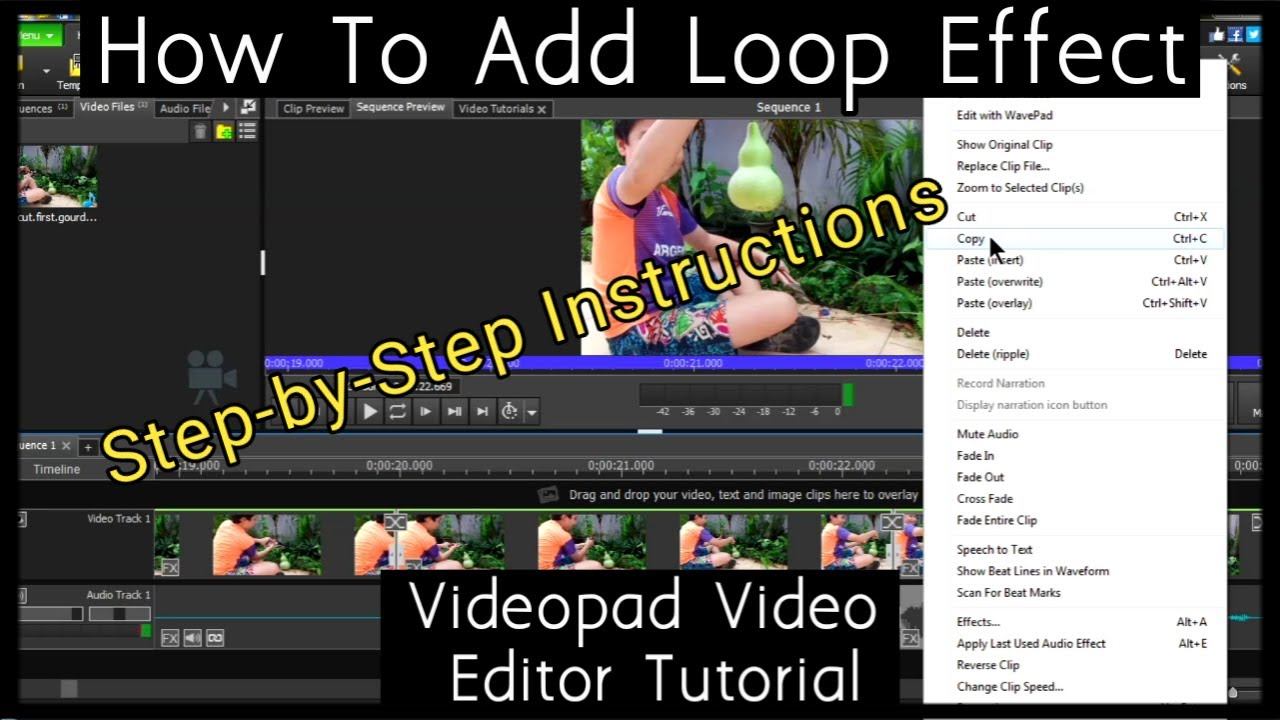 How To Loop Video: VideoPad Video Editor Tutorial