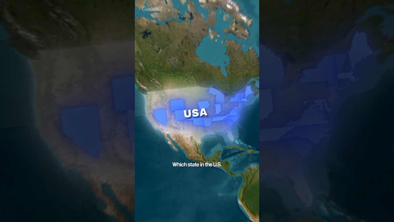 Which state has the most black people?