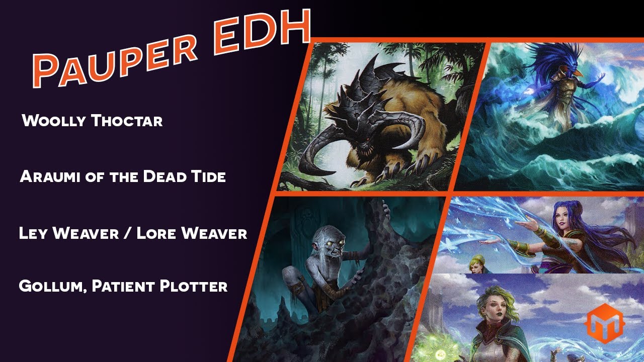 Pauper EDH - Woolly Thoctar VS Araumi VS Ley/Lore Weaver VS Gollum