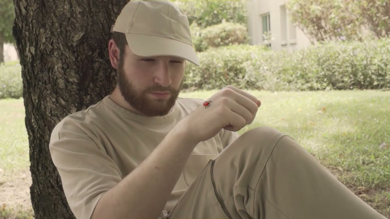 ANI314 Shrinking Into The Grass | VFX Short Film
