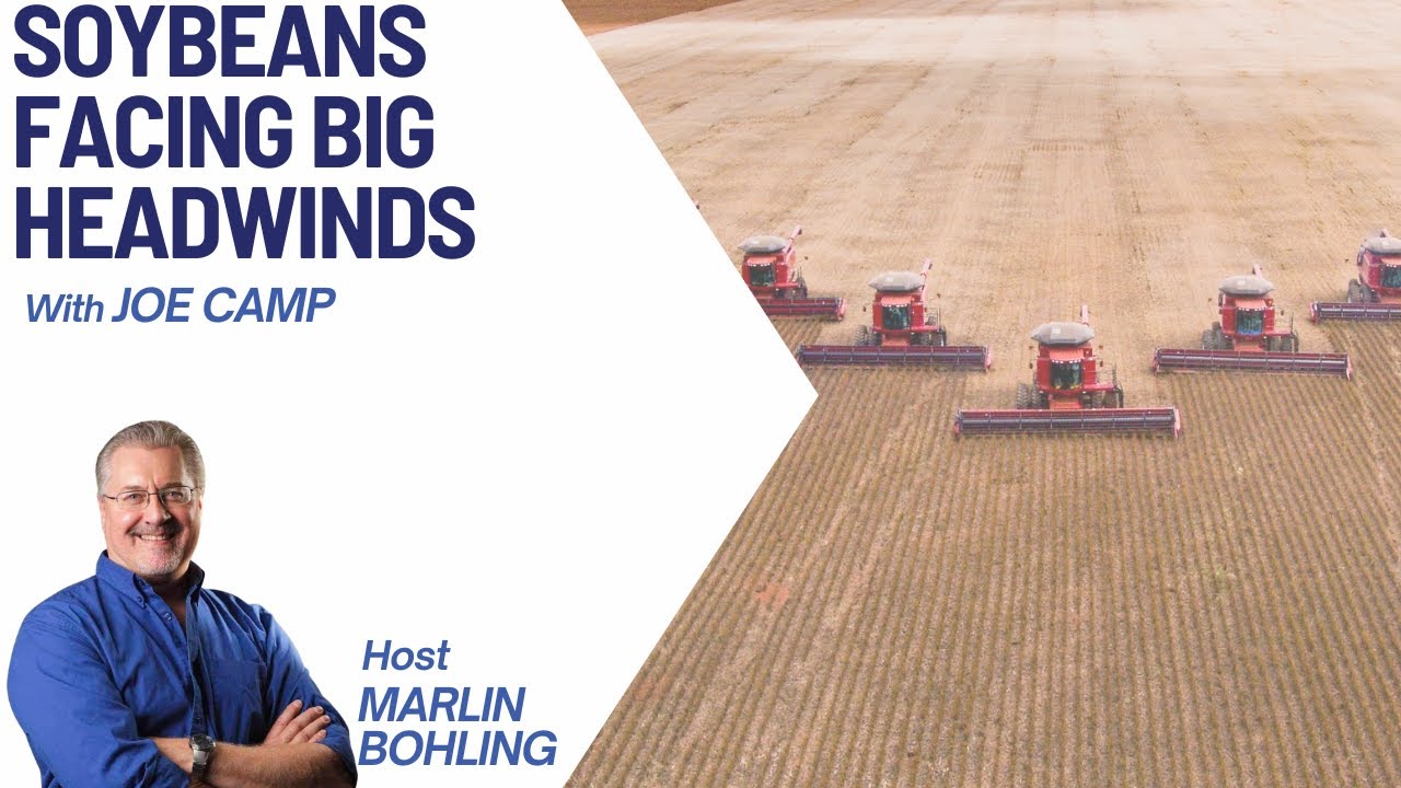Soybeans Facing Big Headwinds With Joe Camp