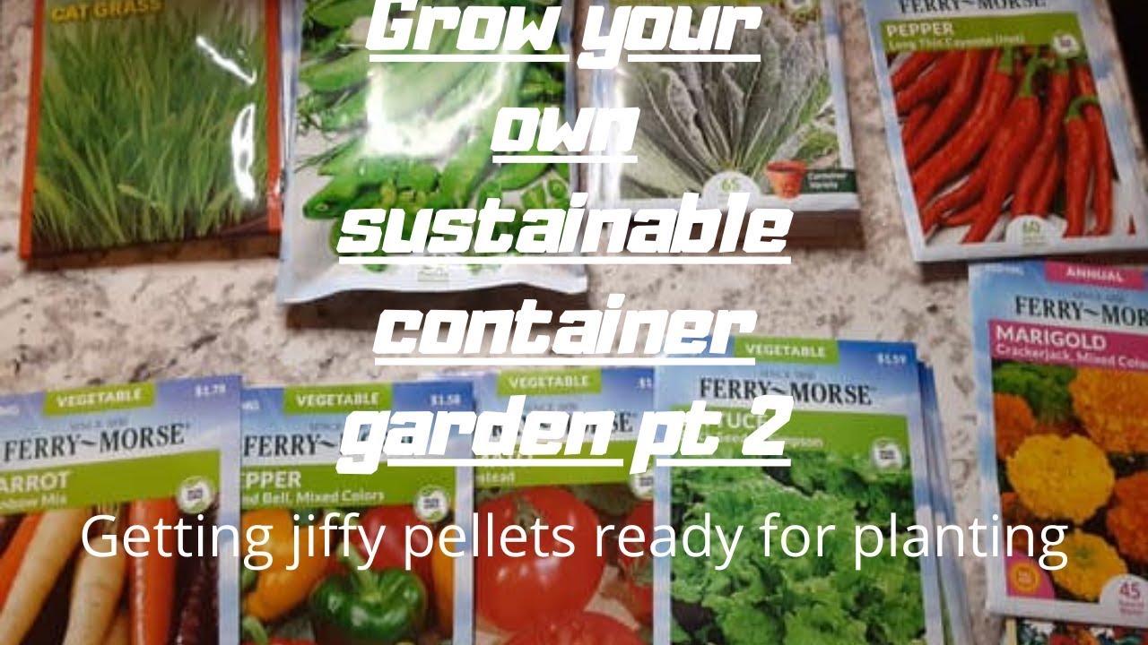 pt2 growing your own sustainable garden  Starting seedlings