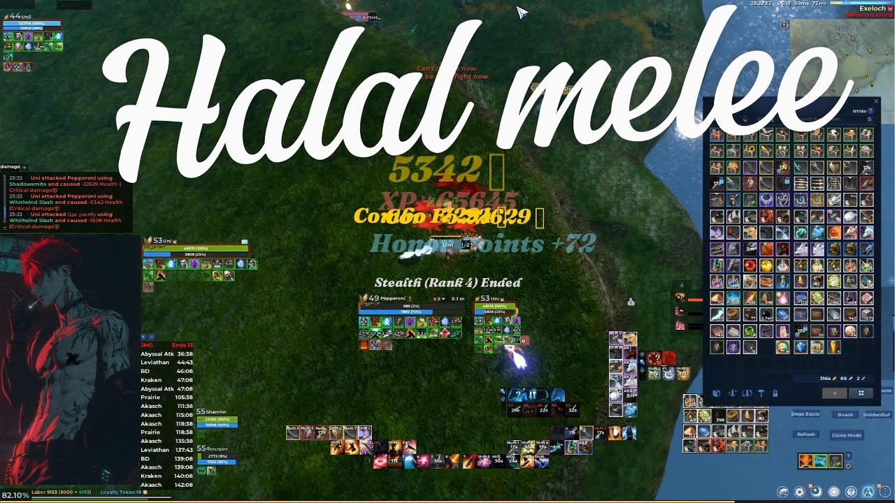 ArcheRage Halal Melee Uni 2