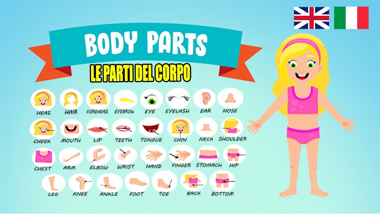Parti del Corpo in Inglese | Body Parts Vocabulary in English