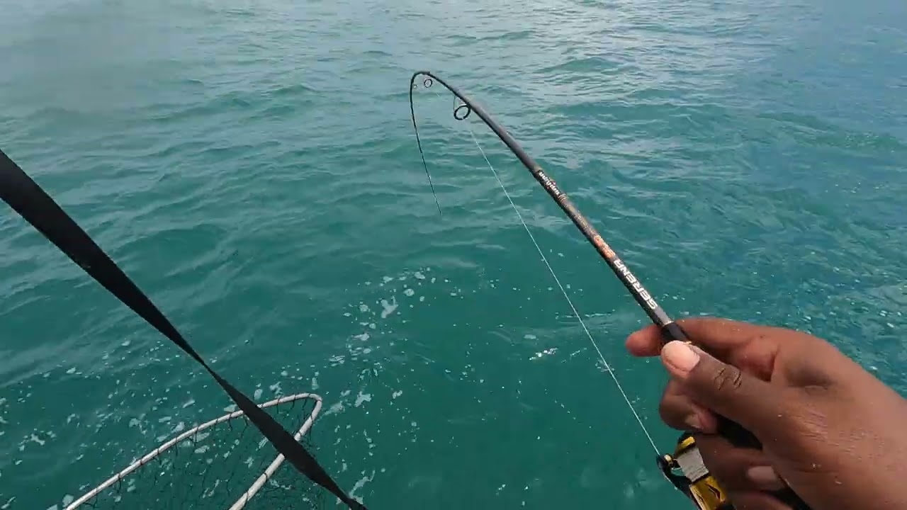 Pêche au jig 40 g Acoupa rouge au îles du Salut ⭐️ #frenchguiana 