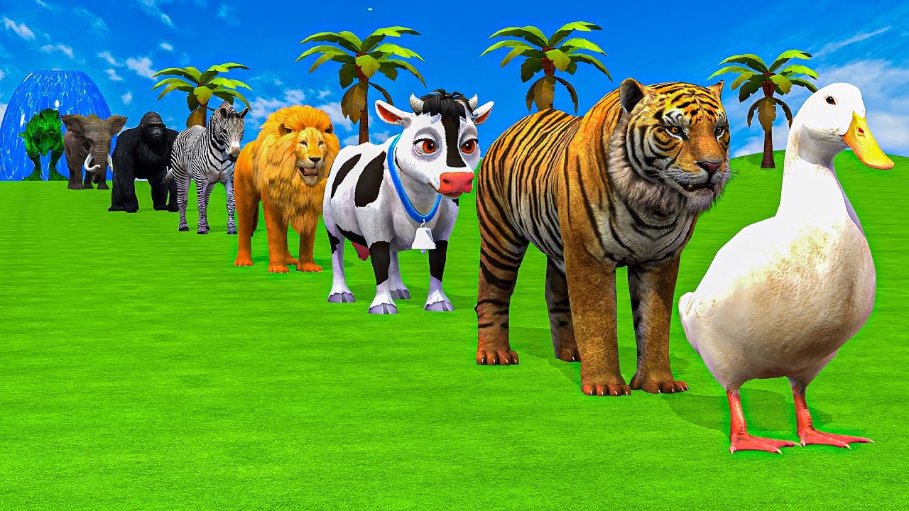 Long Slide Game With Cow Elephant Gorilla Hippopotamus Tiger - 3d Animal Game - Funny 3d Animals