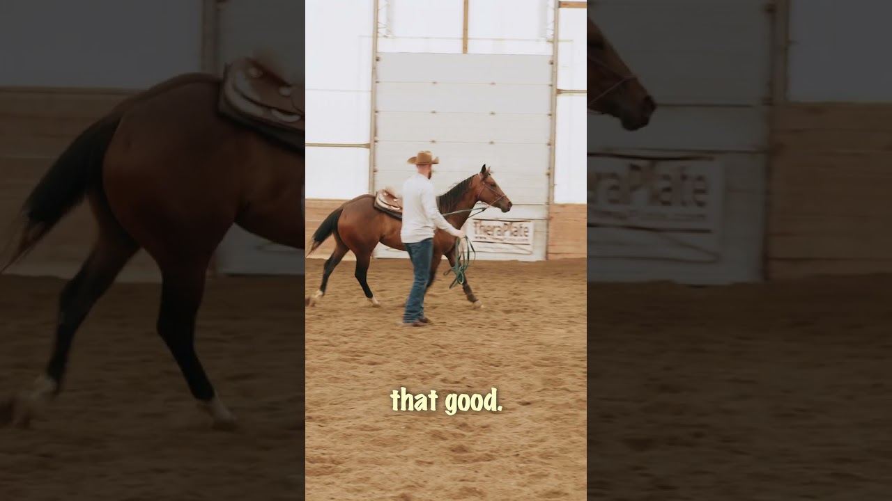 Fixing common lunging problems