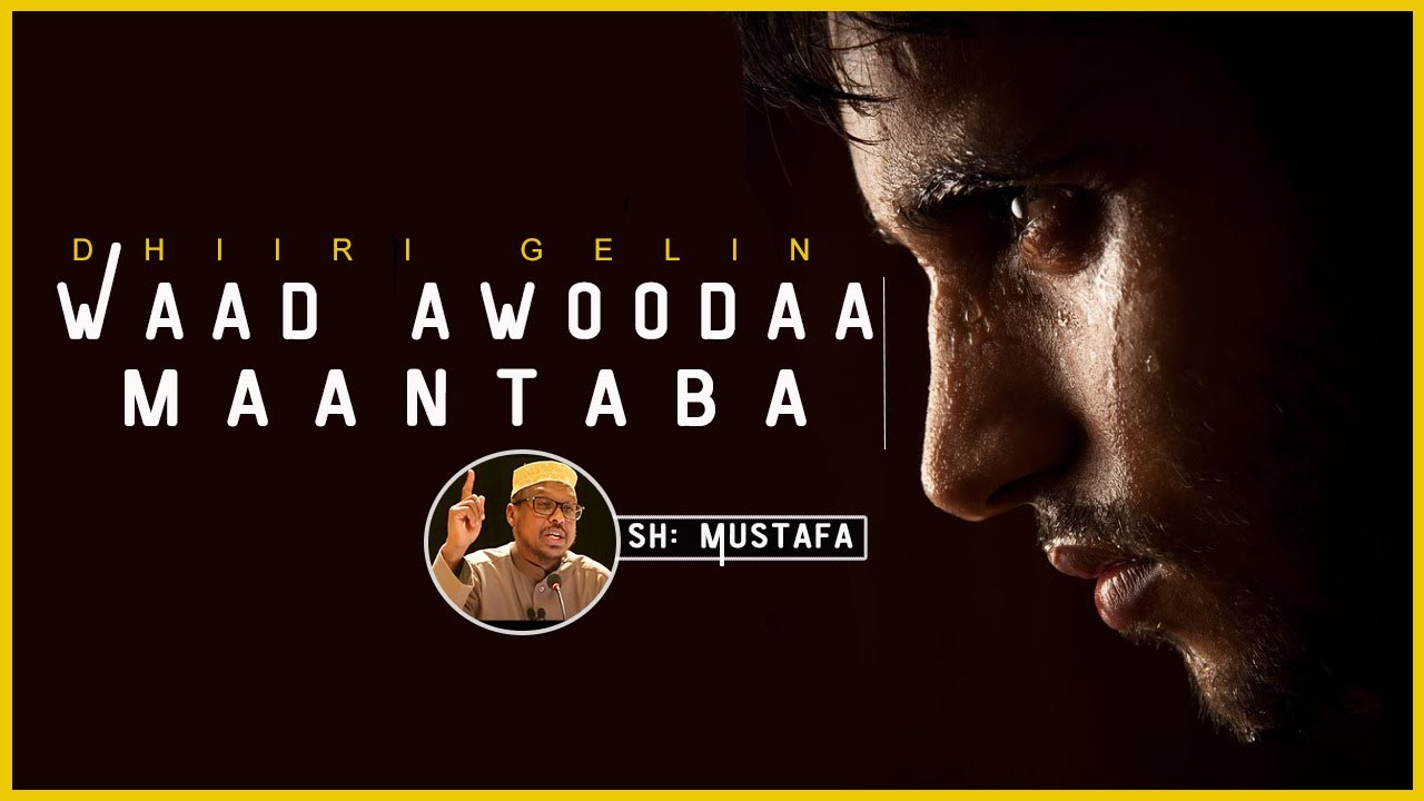 Sheekh Mustafa ᴴᴰ┇Waad awoodaa maantaba in aad xifdiso ama qaybto Qur'aanka ama wax waliba