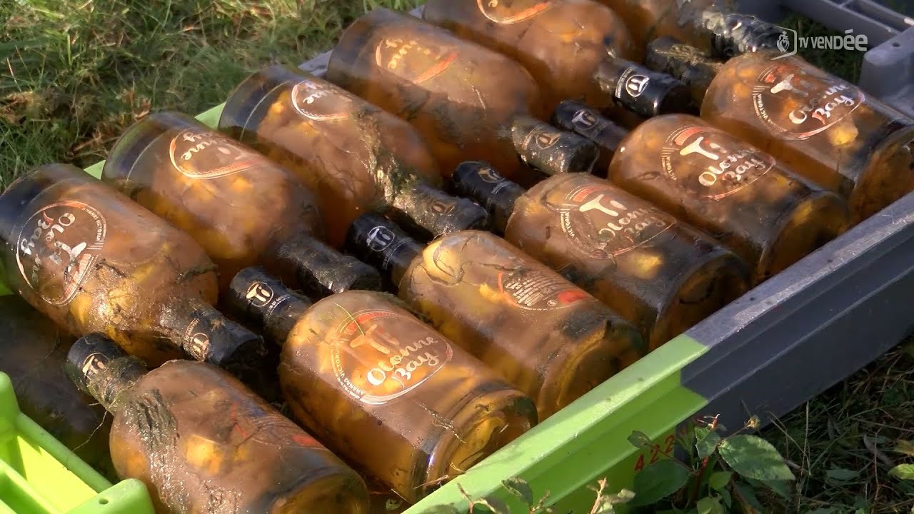 Initiative : du rhum arrangé en macération dans les marais d'Olonne