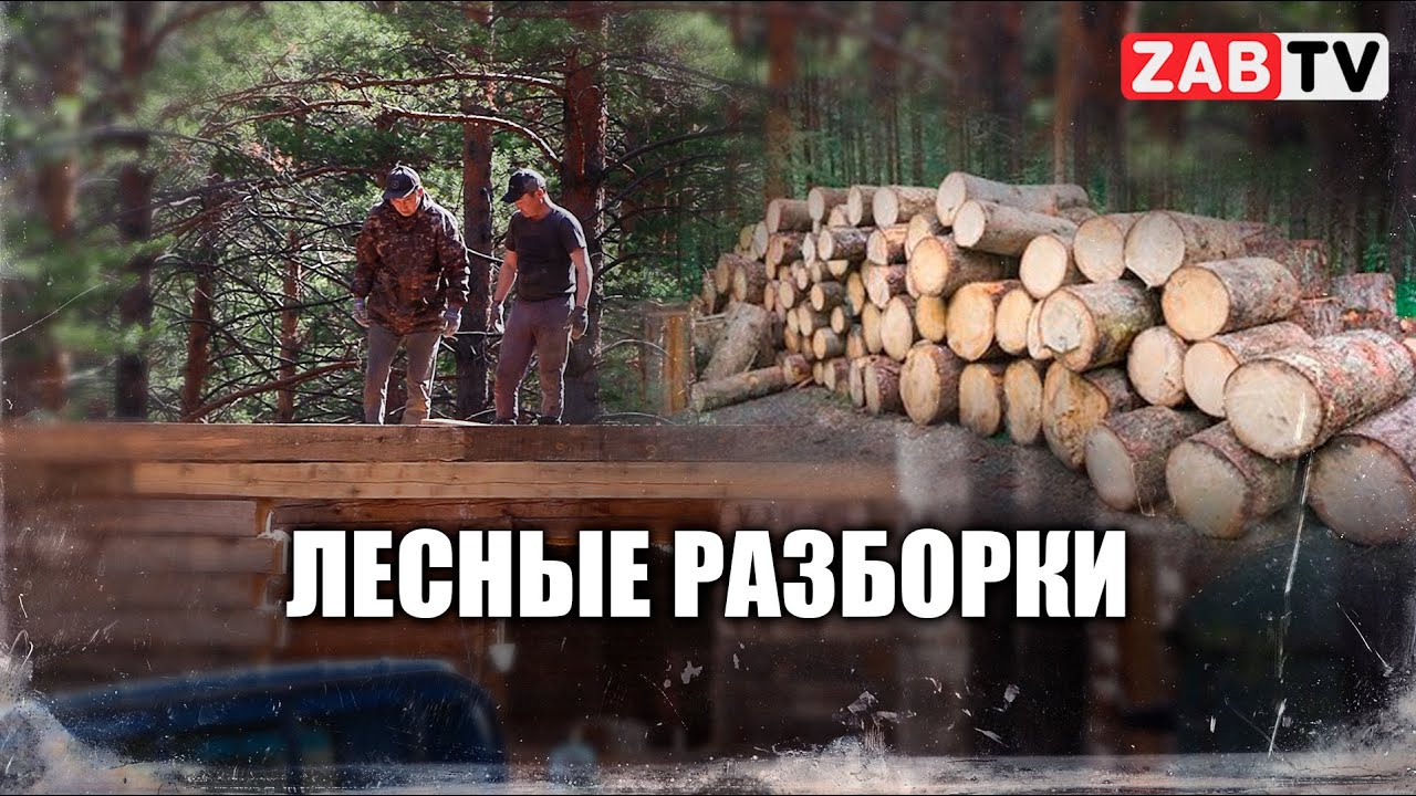 Жители Карповки: «Строители губят наш лес»