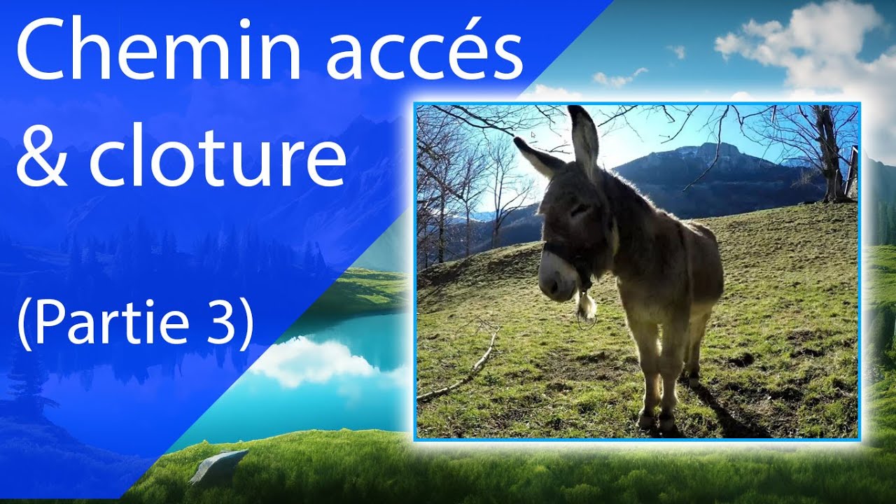 25#02 Chemin d'accès & clôture