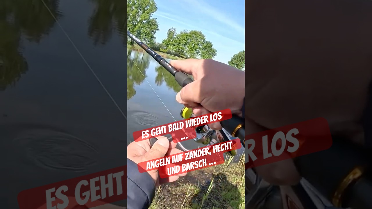 Zander, Hecht und Barsch - 2026 - es geht bald wieder los … 🎣🐟🎣🐟🎣🐟