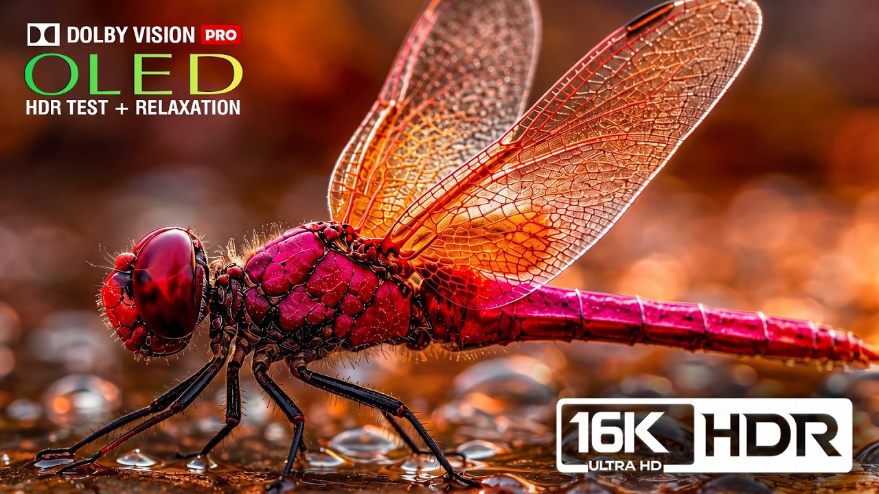 Extreme Color Depth: 16K HDR 120FPS Nature Demo | OLED Display Test (4K Video &bull; 8K Ultra HD TV)