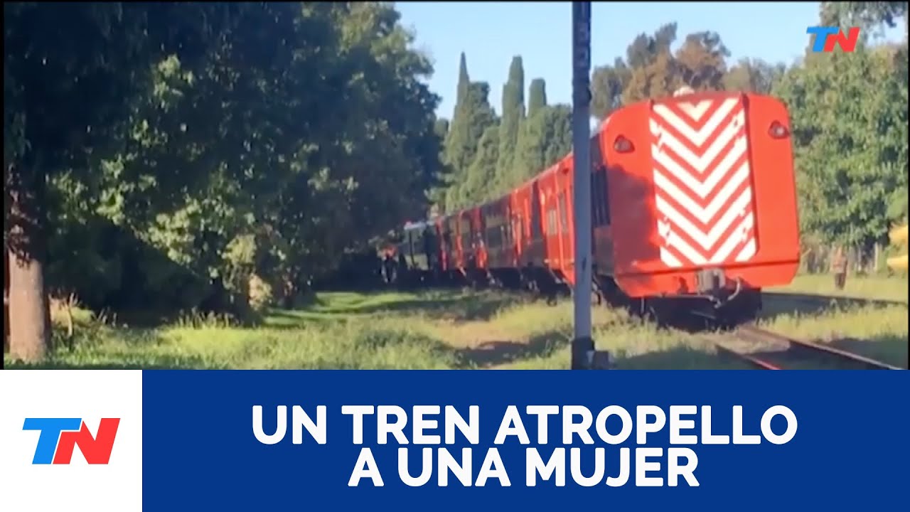 Un tren del ramal Mitre atropelló a una mujer entre las estaciones Juan B. Justo y Saavedra