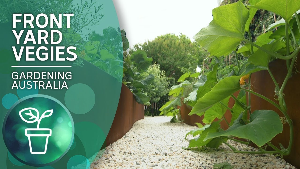 Growing vegies in style in a small space garden