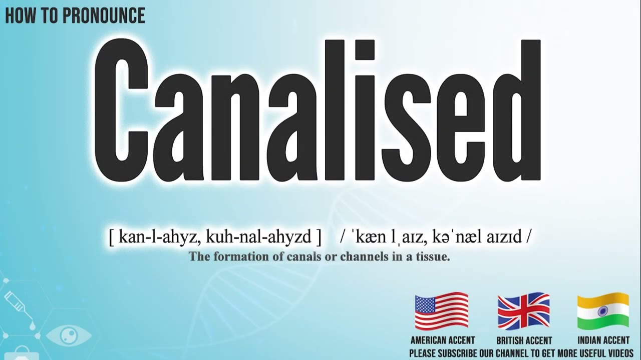 Canalised Pronunciation | How to Pronounce (say) Canalised CORRECTLY | Meaning Definition