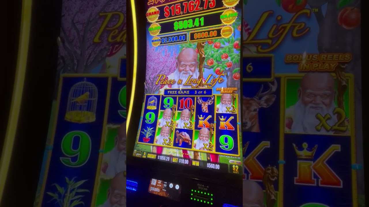 OMG!! 😳THIS BALD GUY GAVE US MONEY! 🤑 A NICE BONUS ON A $10.00 BET #slots #casino #gamble #bonus