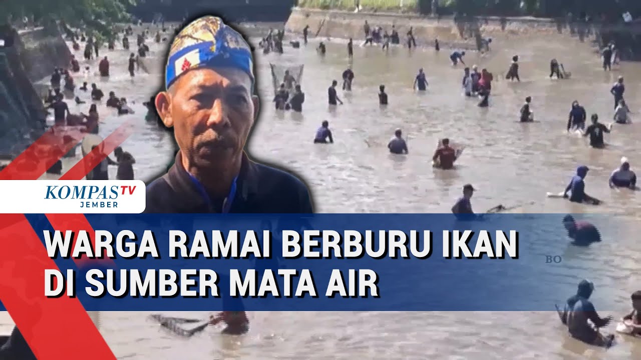 Tradisi Gropyok Ikan di Kediri! Ratusan Warga Serbu Sumber Jembangan