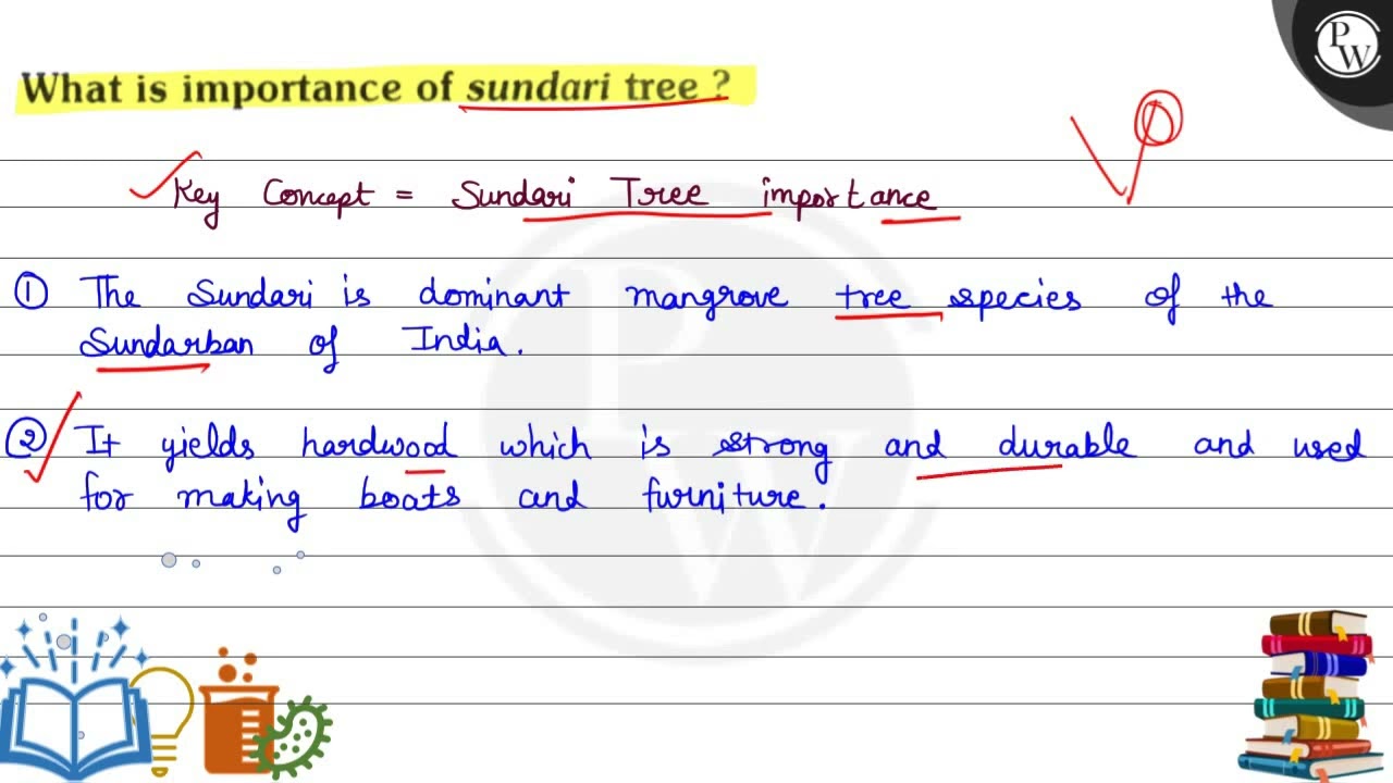 What is importance of sundari tree?