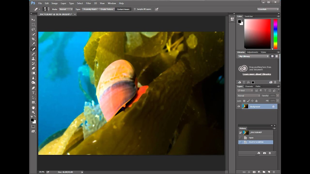 How to Remove Backscatter from Underwater Images using Adobe Photoshop