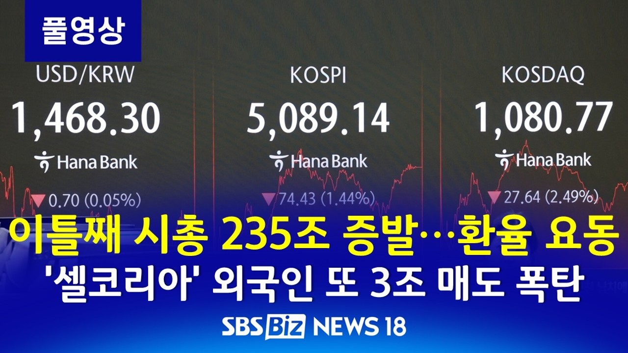 이틀 만에 코스피 시총 235조 사라졌다…환율도 요동 [SBS Biz News 18]