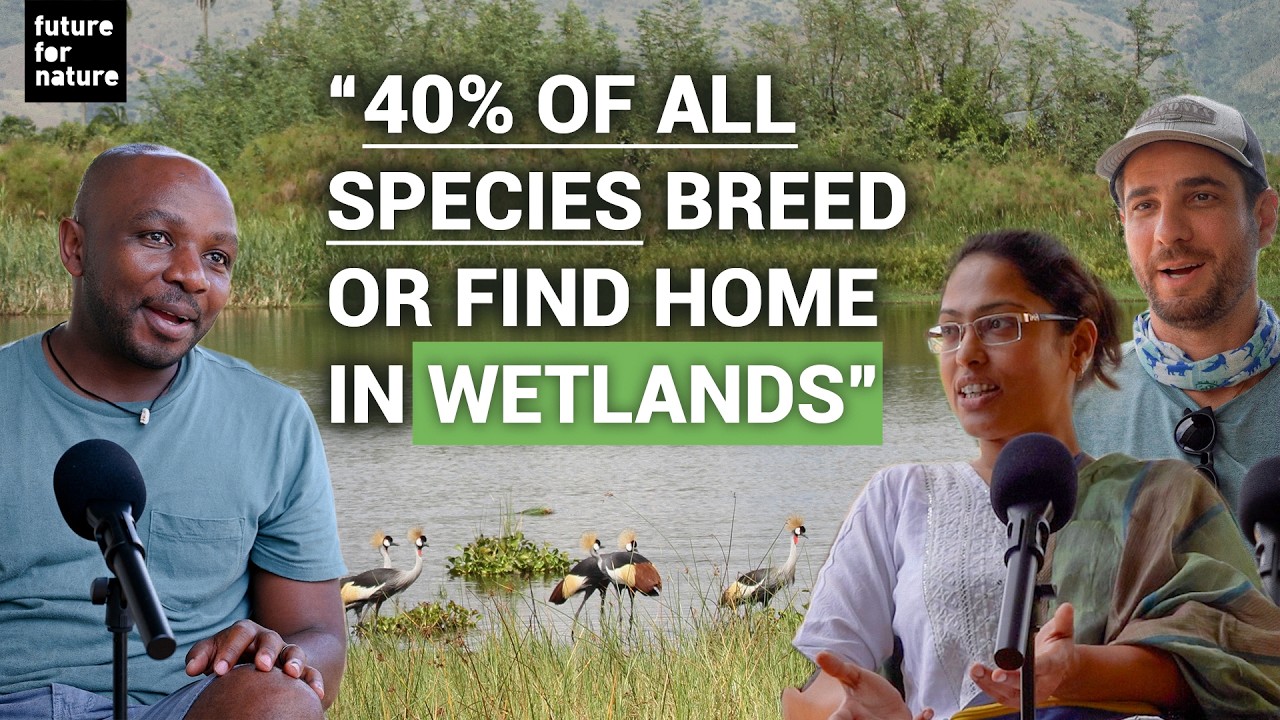 Why Wetlands Are Crucial for Our Planet 🌍 (With Gabriel Massocato, Tiasa Adhya, Olivier Nsengimana)