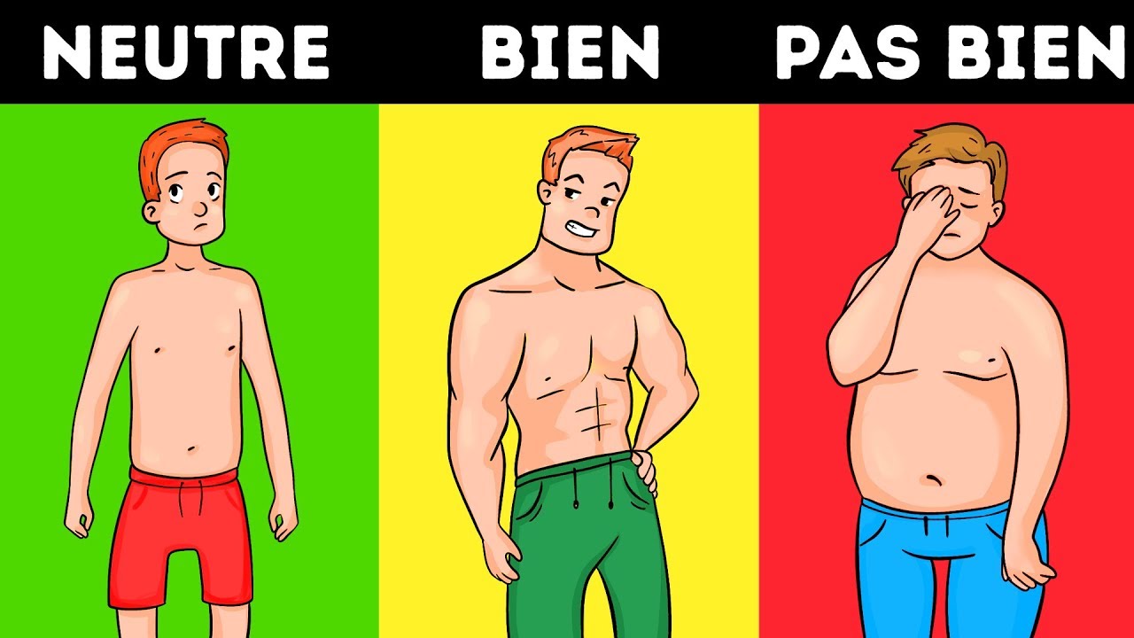 4 Éléments Qui Augmentent le Niveau d’Œstrogènes Chez Les Hommes