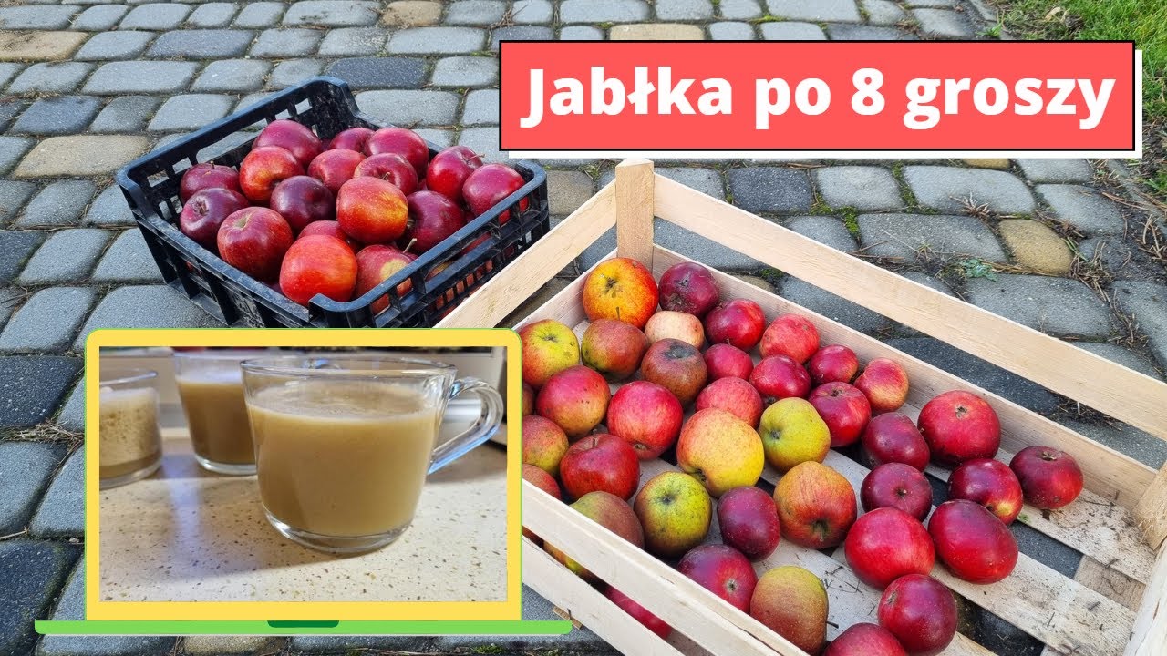 Wyciskarka do soków Kuvings