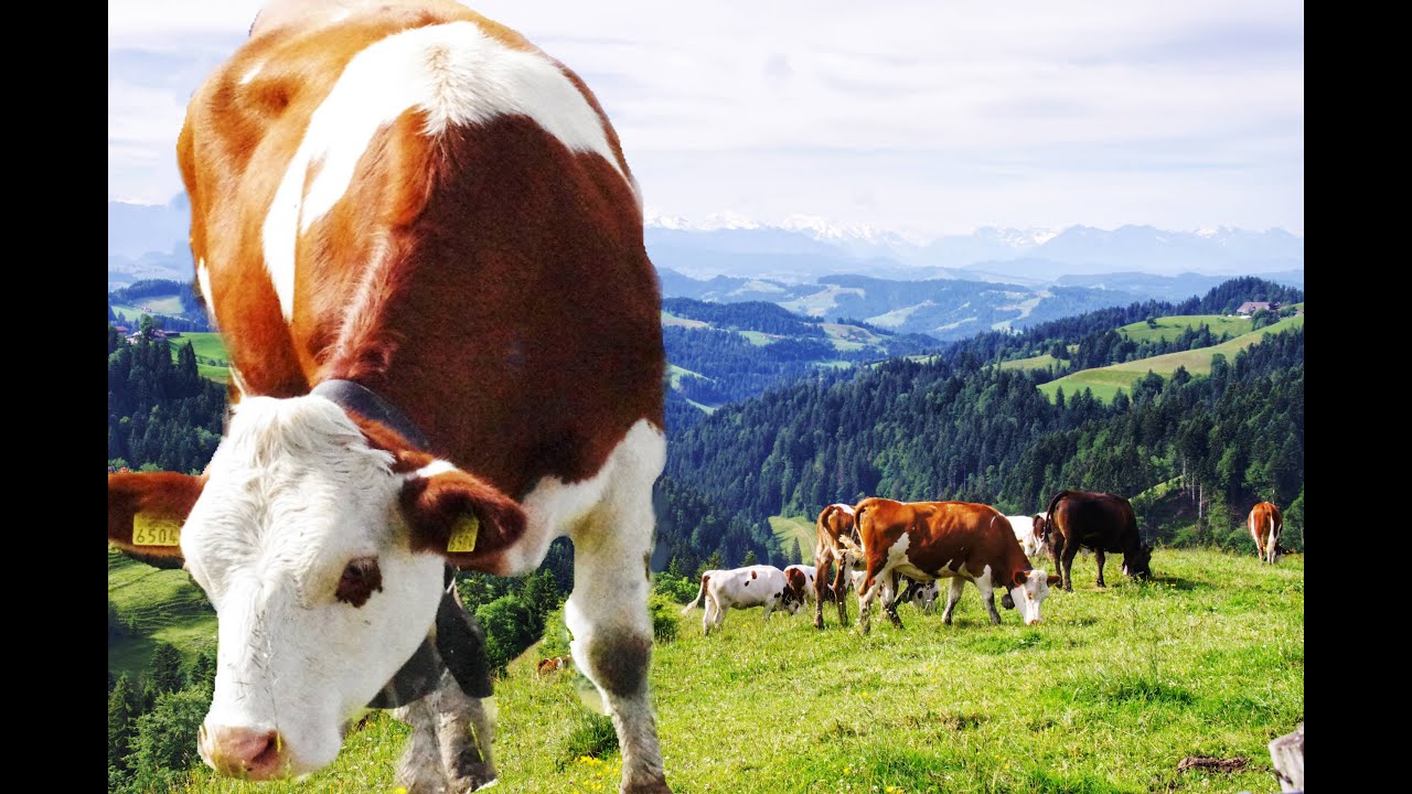 Schweiz | Emmental | Lüderenalp