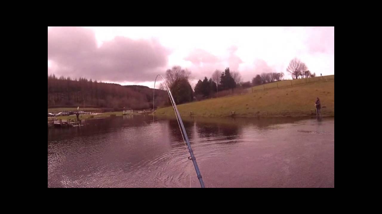 12lb Rainbow Trout at Llandegla Fly Fishery 28-03-16